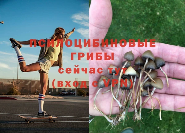mdpv Щучье