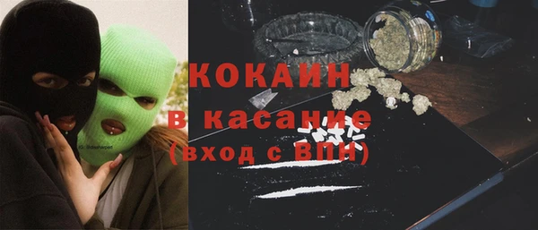 бошки Пересвет