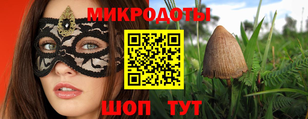 Галлюциногенные грибы Psilocybe Джанкой